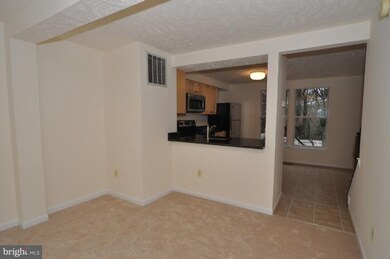 1622 Fieldthorn Dr, Reston, VA 20194 - photo 5