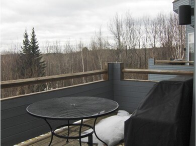 15 Haymaker Ln unit 6A, Wilmington, VT 05363 - photo 6