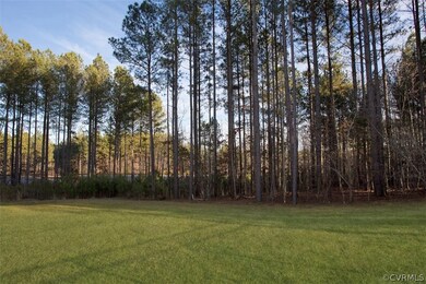 large backyard with buffer of trees and electric f