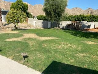 Biskra_71313 back yard