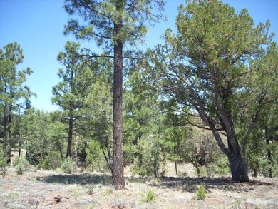 2877 Chandelle Lane (4)