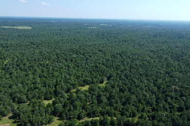 000 Tram Tr, Rattan, OK 74562 - photo 6