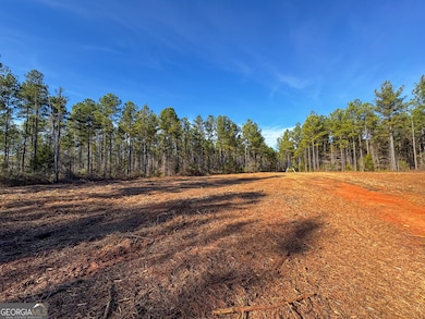 3644-3792 Fortune Hole Rd E, Hamilton, GA 31811 - photo 2