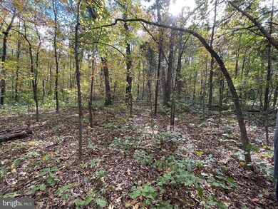 0 Marsh Rd unit VAFQ2019648, Goldvein, VA 22720 - photo 2