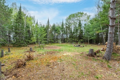 611 W Dyer Farm Rd, Eagle River, WI 54521 - photo 7
