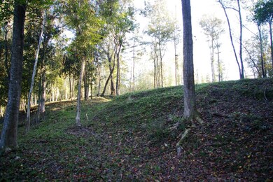 Chatawa Bluff