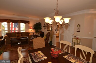 7815 Oxford Dr unit D, Elkridge, MD 21075 - photo 7