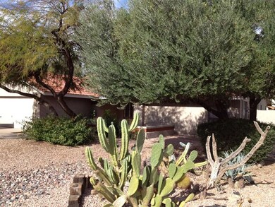 photo (2)