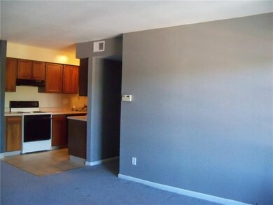 1070 Chatham Park Dr unit C, Pittsburgh, PA 15216 - photo 4