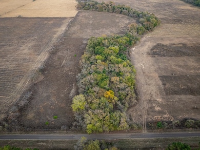 001 An County Road 117, Elkhart, TX 75839 - photo 3