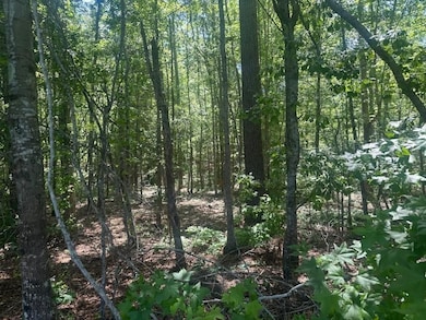 0 Rocky Knob Rd unit 22483768, Sylvania, GA 30467 - photo 4