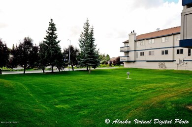 Large Grassy Area
