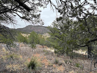 0 Trout Dr unit 30 170627, Timberon, NM 88350 - photo 2