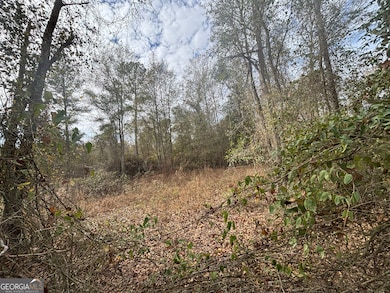 PARCEL A Wiggum Rd & St James Rd, Cochran, GA 31014 - photo 4