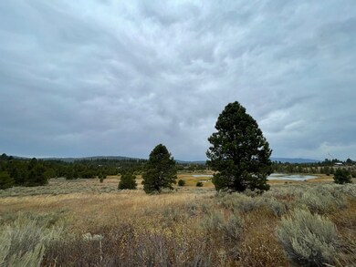 Just a Few Trees & Low Natural Foliage