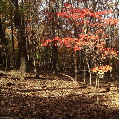 0 Scott Mountain Road Extension, Asheboro, NC 27205 - photo 6