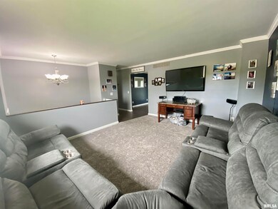 870 S Maple St, Virginia, IL 62691 - photo 7