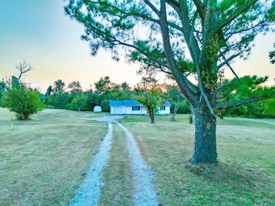 View of yard at dusk
