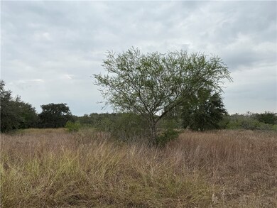 000 Cherry, Beeville, TX 78102 - photo 5