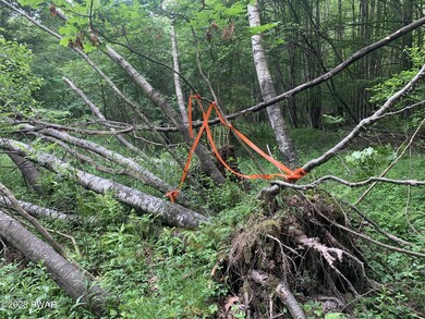 0 Rosengrant Rd, Lake Ariel, PA 18436 - photo 5