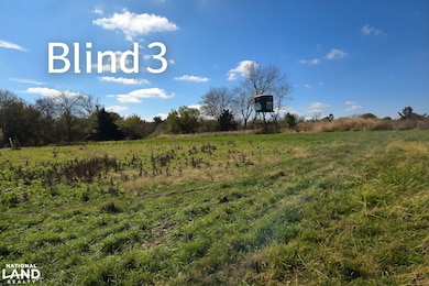 16706 481st St, Mystic, IA 52574 - photo 7