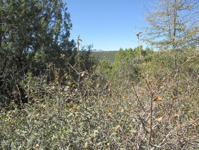 Photo 06