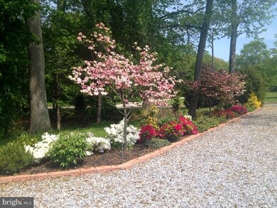 513 Sharp Dr, Mickleton, NJ 08056 - photo 5