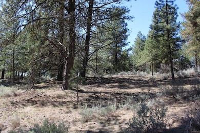 Pine Ridge Lot