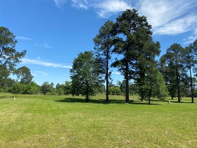 32006 Birdie Ln, Waller, TX 77484 - photo 3