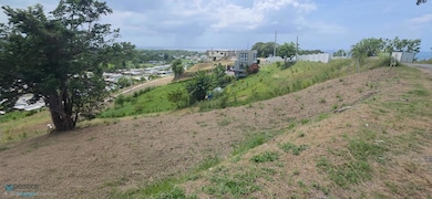 0 Stella Royal unit Solar 1, Rincon, PR 00677 - photo 5