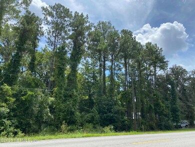 View on US17 by the shop