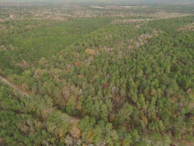 aerial 03