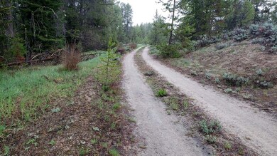 Road Into Property