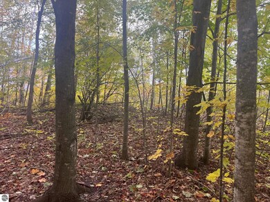 00 E Cherry Ln unit 174, Cedar, MI 49621 - photo 6