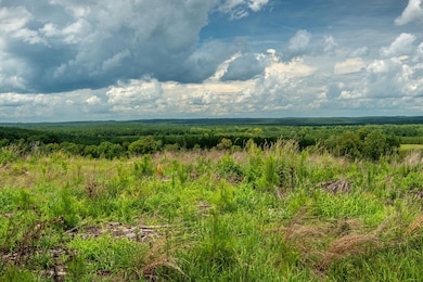 0 Longtown Rd unit 21128598, Ridgeway, SC 29130 - photo 2