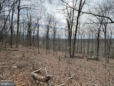 0 River View Rd unit VAPA105930, Rileyville, VA 22650 - photo 2