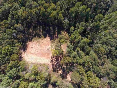 0 Purnell, Bono, AR 72416 - photo 6