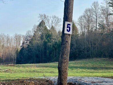 Lot 5 Radford Rd, East Bernstadt, KY 40729 - photo 2