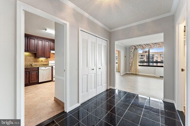 Skyline Plaza unit 2405N, Baileys Crossroads, VA 22041 - photo 3