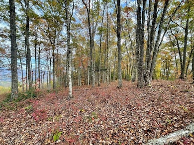 Lot 8 Rocky Ridge Rd, Almond, NC 28702 - photo 5