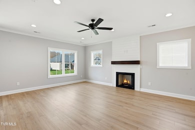 391 Wilson Knob View, Jonesborough, TN 37659 - photo 6