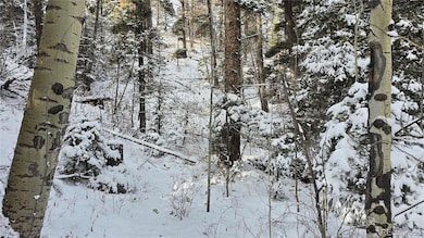 Lot 5540 Joy Rd, Fort Garland, CO 81133 - photo 7