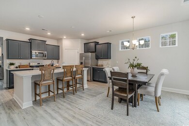 255 Konik St, Conway, SC 29526 - photo 6