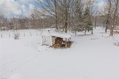 view of back yard