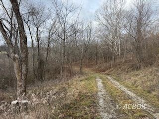 15750 Bryson Rd, Millfield, OH 45761 - photo 7