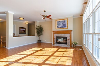 3972 Honeymoon Ridge, Lake In the Hills, IL 60156 - photo 6