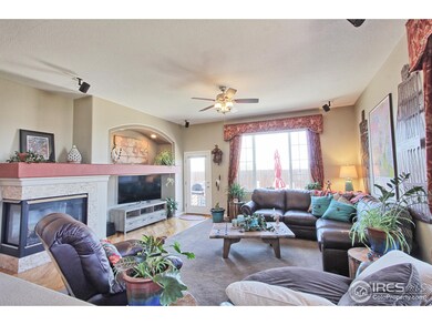 14379 Fillmore St, Thornton, CO 80602 - photo 6