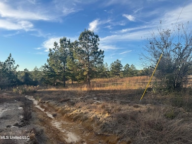7 Acres Mike Parker Rd, McHenry, MS 39561 - photo 4
