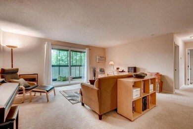 Living Room with treetop views