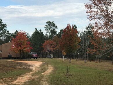 417 Vance Rd, Tarrytown, GA 30470 - photo 3